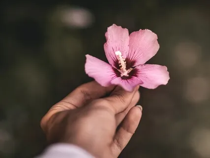 Awaken The Heart Of Compassion