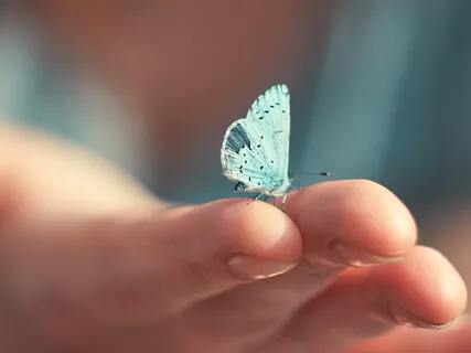 Compassion Exercise 20 Minutes