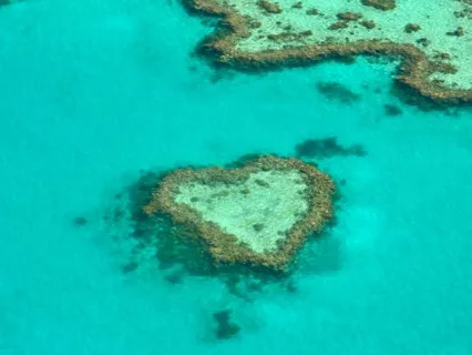 Bringing In Compassion