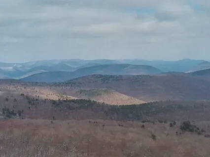 Compassion Meditation