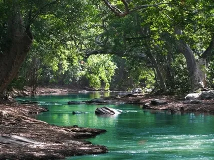 Compassion Meditation And Poem - 'Life Is Tenderness'