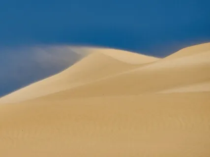 Compassion Meditation For Back Pain