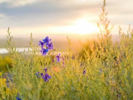 Compassion Meditation For Getting Older