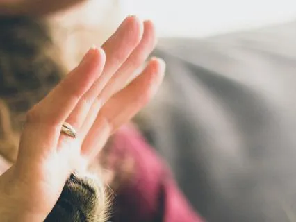 Cultivating Compassion For Inner Calm