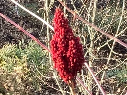 Compassion Meditation Self Care Empathy Kindfulness