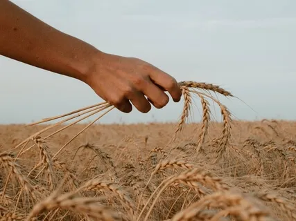 Compassion During Passover