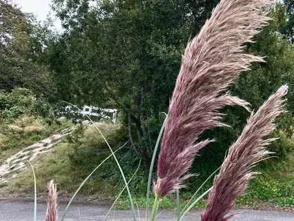 Compassion Practice: Outward To Inward