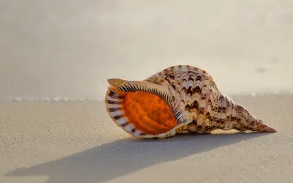 Compassion Subliminal Affirmation Soundscape For Self Love