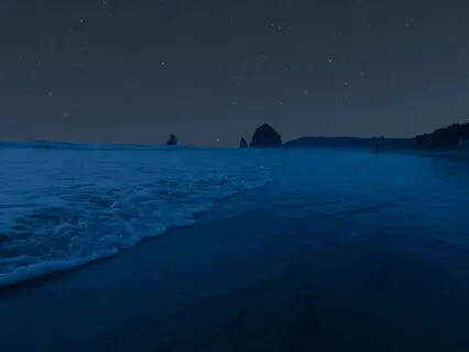 Compassion Through Insomnia