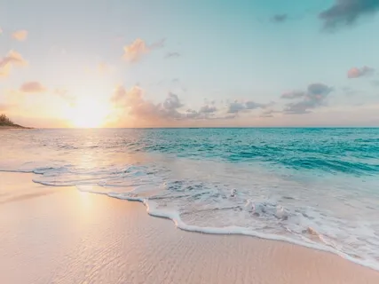 Compassion To All Beings