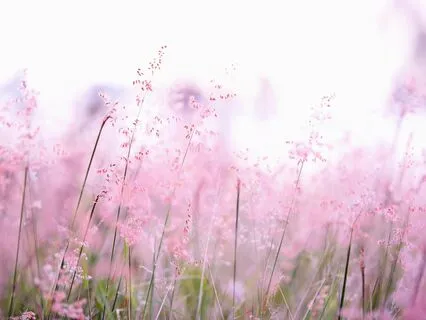 Compassion Towards Pain, A Karuna Meditation