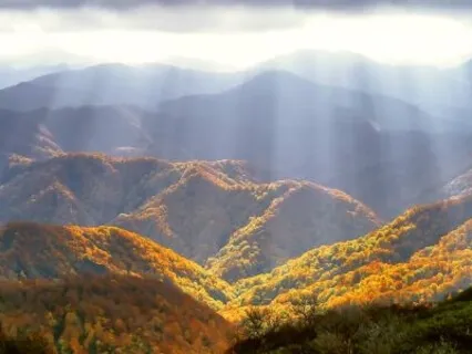 Compassion Vs Empathy Brain Training And Science