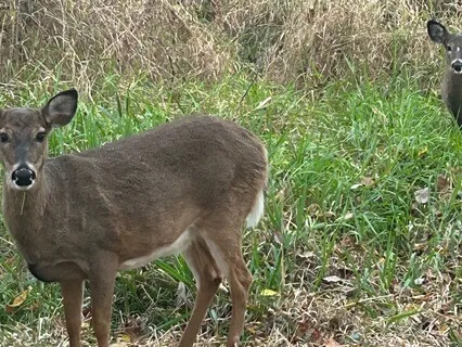 Compassion With Ourselves In The Moment