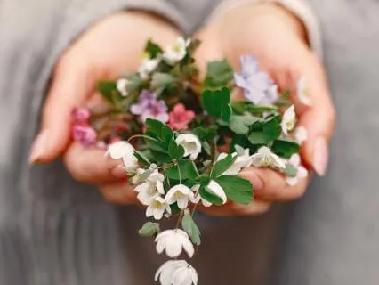 Compassion Without Overwhelm