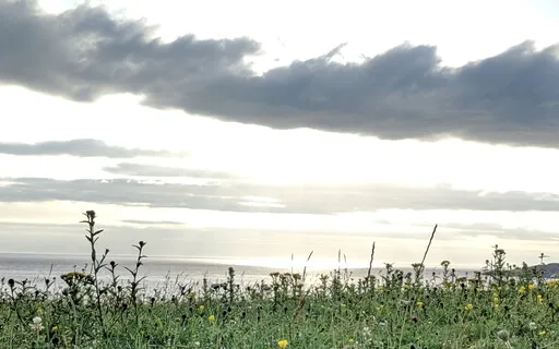 Compassionate Acceptance