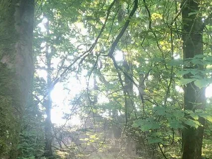 Compassionate Awareness