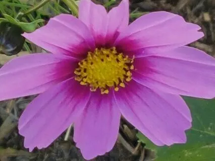 Compassionate Body Awareness