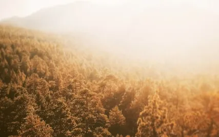 Compassionate Body Scan