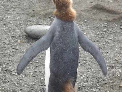 Compassionate Body Scan