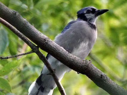 Compassionate Body Scan For Burnout Relief