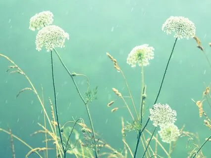 Compassionate Body Scan For Gentle Awareness