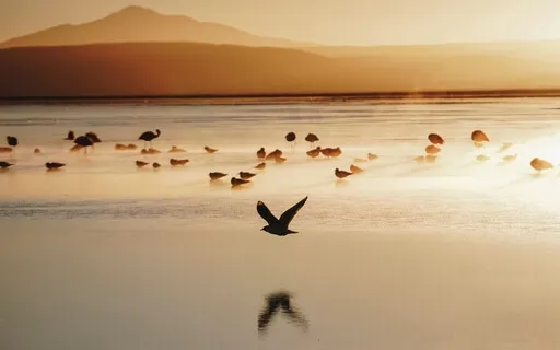 Compassionate Breath In The Waves