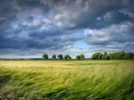 Compassionate Breath