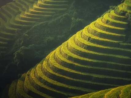 Compassionate Breathing