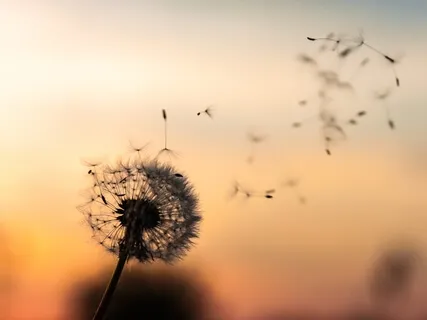 Compassionate Breathing