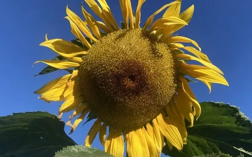 Compassionate Breathing: Yourself