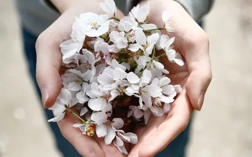 Compassionate Friend 