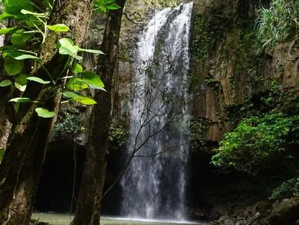 Compassionate Friend Meditation