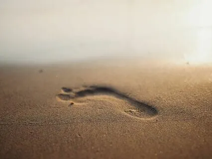 Compassionate, Loving Body Scan Meditation