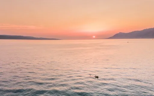 Compassionate Loving-kindness Meditation