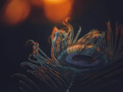 Compassionate Melody That Will Make You Happy