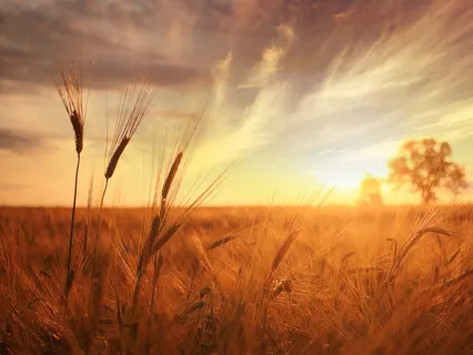 Compassionate Moment