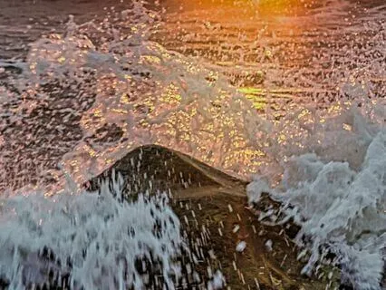 Compassionate Relationship With My Body