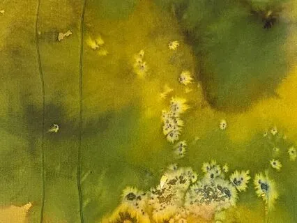 Compassionate Somatic Tracking