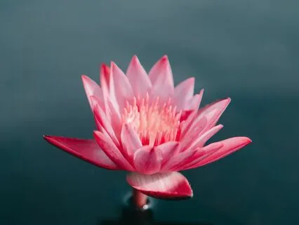 Compassionate Tension Release