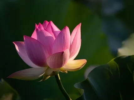 Compassionately Embracing All Of You