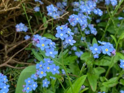 Compassionately Relating To Resistance