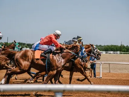 Competitiveness & Options - "Meditations For People Who..."