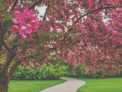 Complete Alignment - Affirmations For Transformation