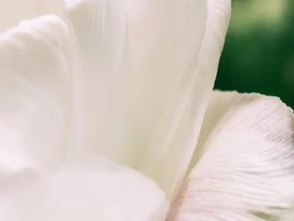 Complete Aura Cleanse | Guided By Divine Light Beings