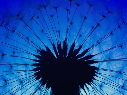 Complete Breath: Exploring The 3 Part Breath