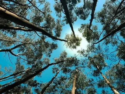 Complete Chakra Cleanse