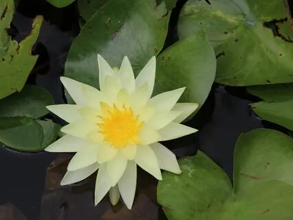 Complete Chakra Workout