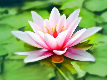 Complete Heart Therapy | Dissolving Heaviness | Effective Guided Meditation