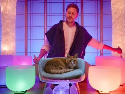 Complete Nervous System Chakra Alignment