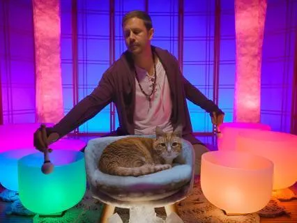 Complete Nervous System Chakra Alignment